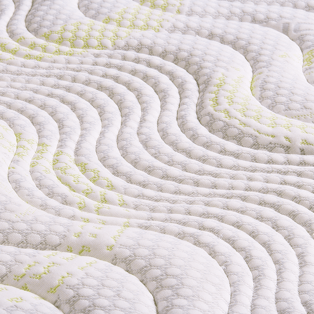evolution_2.1800x1200